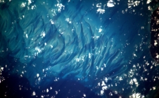 Mer des caraïbes vue de l'ISS par Thomas Pesquet